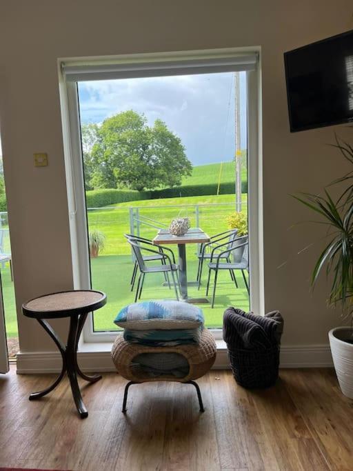 Adorable One Bedroom Apartment With Balcony Newtownards Buitenkant foto
